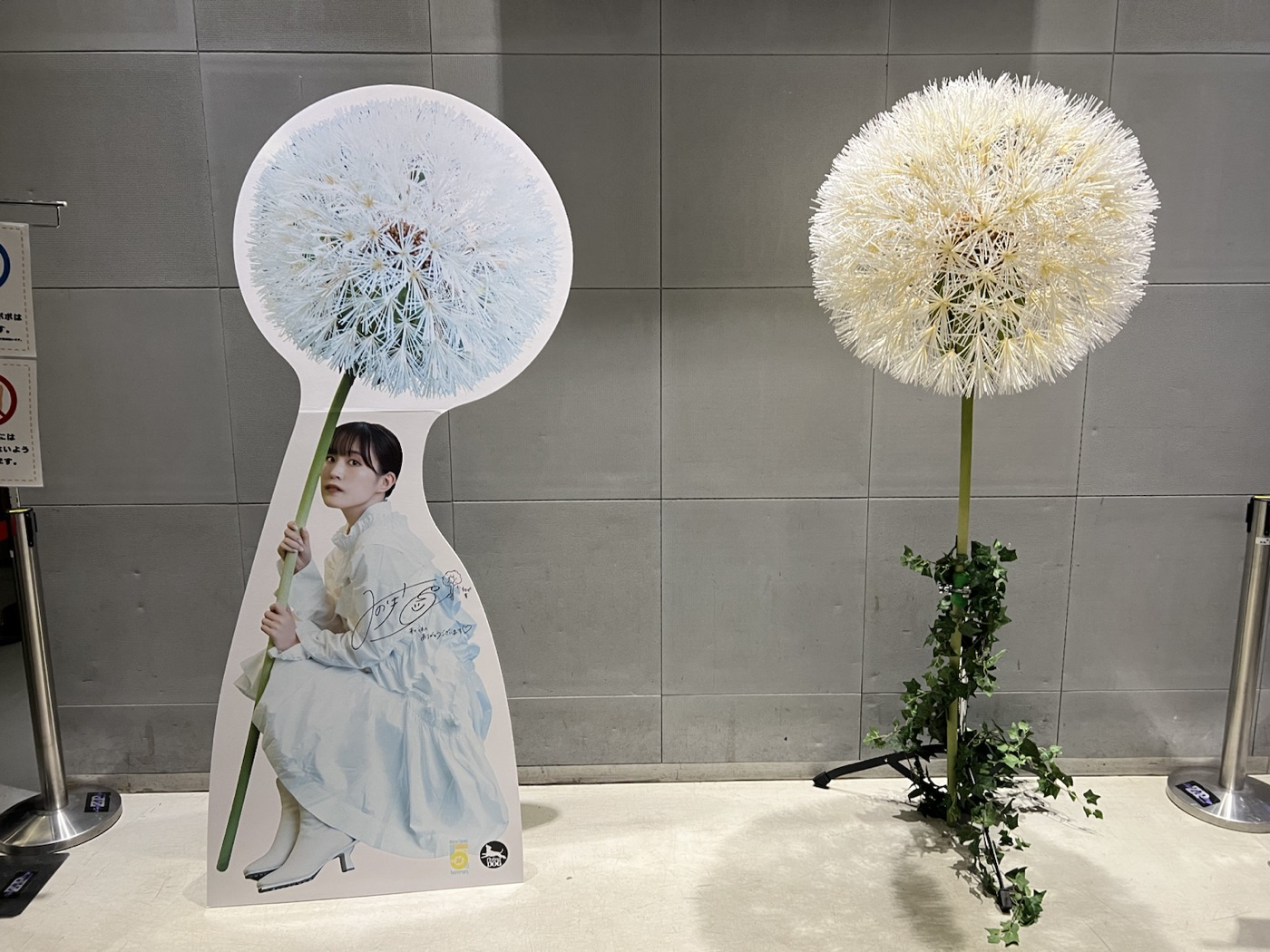 鈴木みのりの展示パネルとタンポポのオブジェ